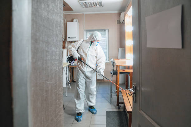 Best Mold Prevention Services  in Houghton, NY